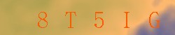 <!--| u_f_s_valimg |-->