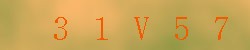 <!--| u_f_s_valimg |-->