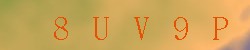 <!--| u_f_s_valimg |-->