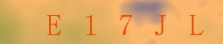<!--| u_f_s_valimg |-->
