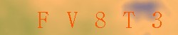 <!--| u_f_s_valimg |-->