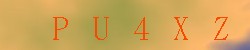 <!--| u_f_s_valimg |-->