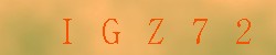 <!--| u_f_s_valimg |-->