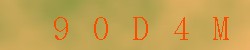 <!--| u_f_s_valimg |-->