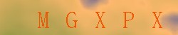 <!--| u_f_s_valimg |-->