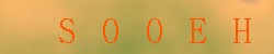 <!--| u_f_s_valimg |-->