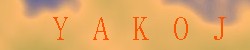 Kontrolní kód