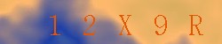 <!--| u_f_s_valimg |-->